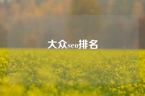 大众seo排名