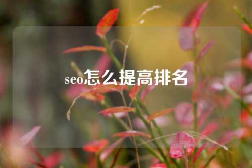 seo怎么提高排名