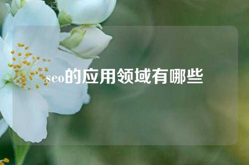 seo的应用领域有哪些