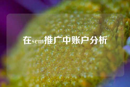 在sem推广中账户分析