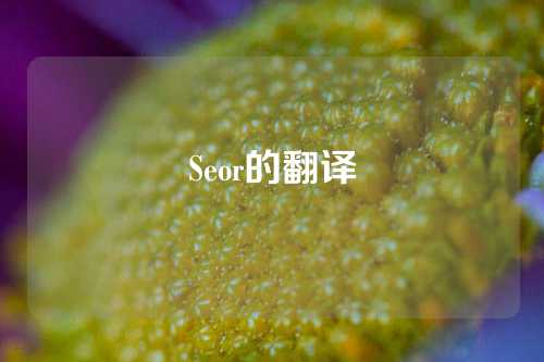 Seor的翻译