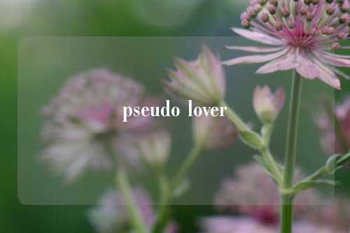 pseudo lover