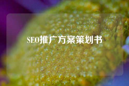 SEO推广方案策划书