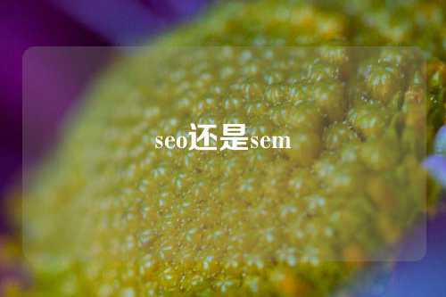 seo还是sem