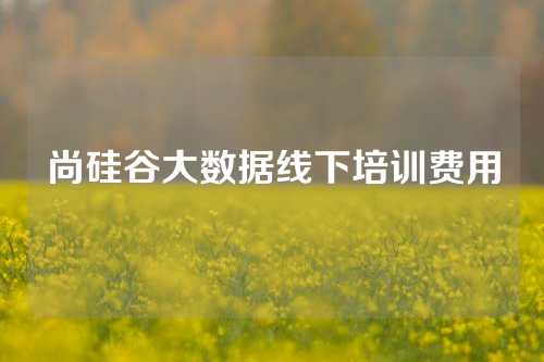 尚硅谷大数据线下培训费用