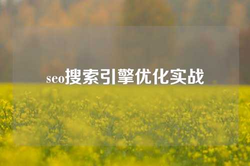 seo搜索引擎优化实战