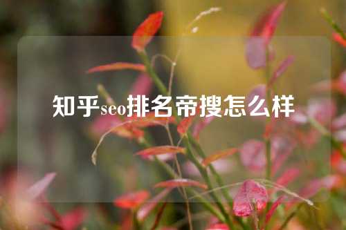 知乎seo排名帝搜怎么样