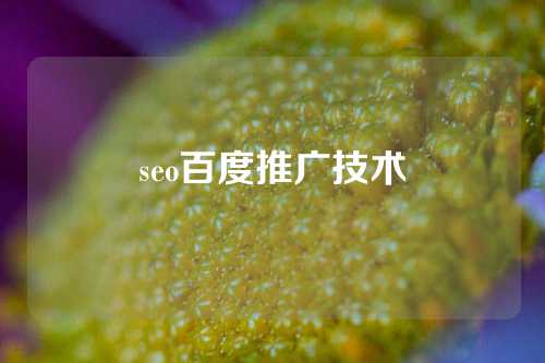 seo百度推广技术