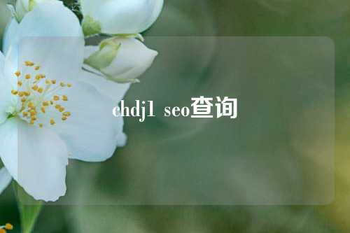 chdj1 seo查询