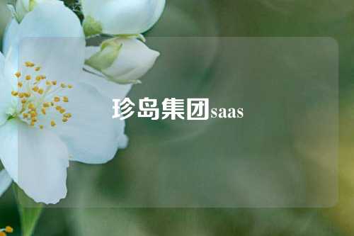 珍岛集团saas