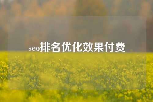 seo排名优化效果付费