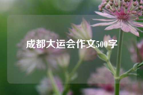 成都大运会作文500字