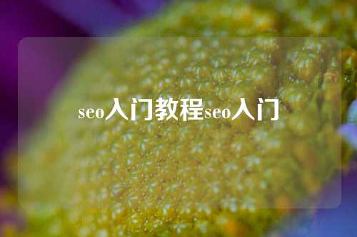 seo入门教程seo入门