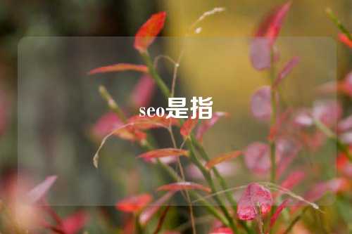 seo是指