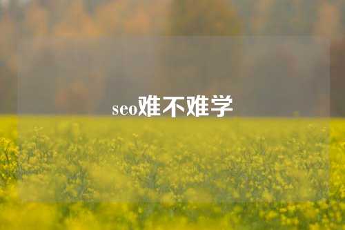 seo难不难学