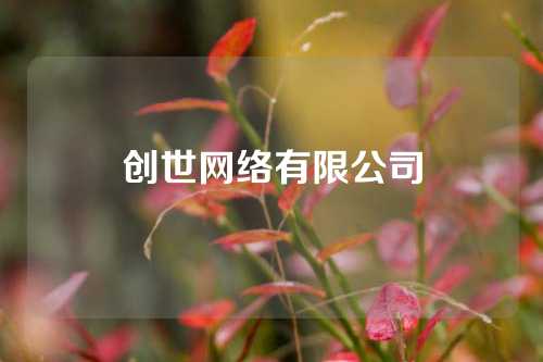 创世网络有限公司