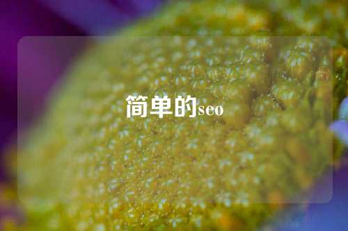 简单的seo