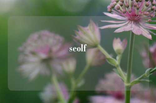 seolf