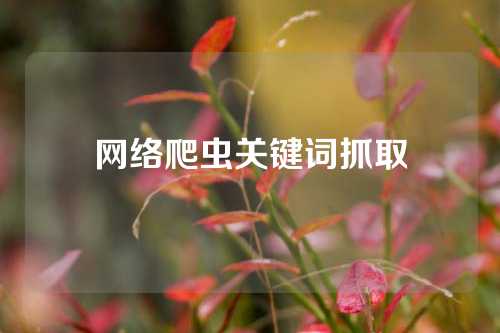 网络爬虫关键词抓取