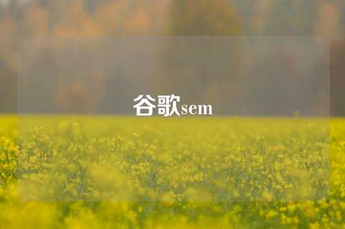 谷歌sem