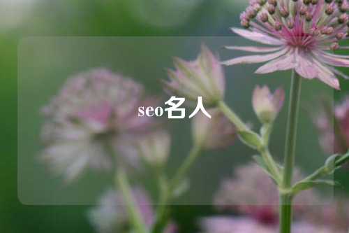 seo名人