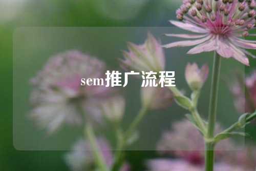 sem推广流程