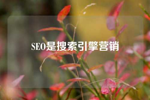 SEO是搜索引擎营销