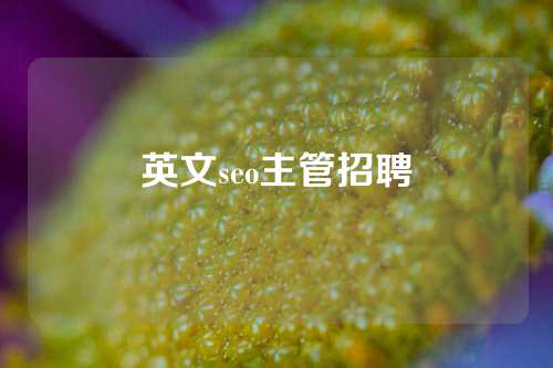 英文seo主管招聘