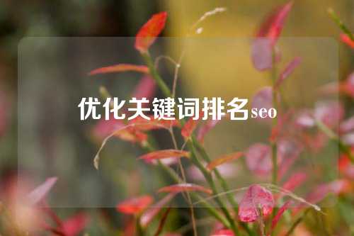 优化关键词排名seo