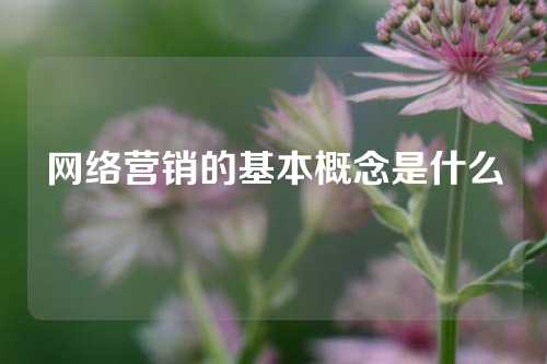 网络营销的基本概念是什么