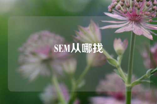 SEM从哪找