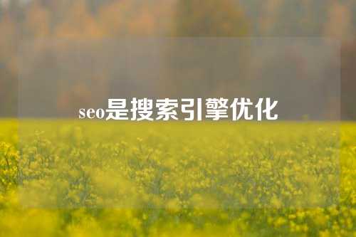 seo是搜索引擎优化