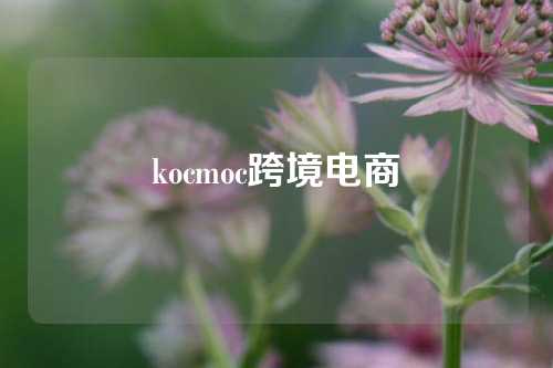 kocmoc跨境电商