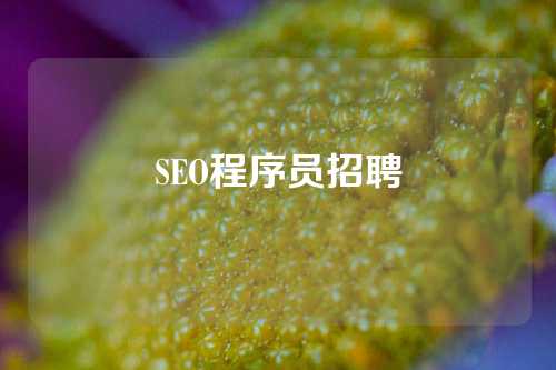 SEO程序员招聘