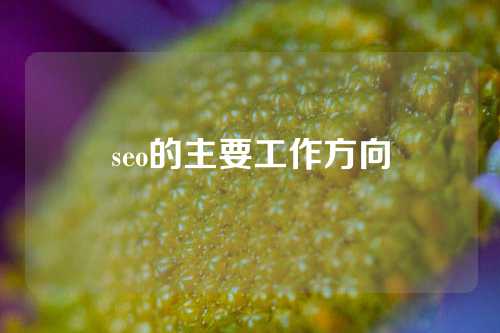 seo的主要工作方向