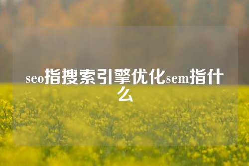 seo指搜索引擎优化sem指什么