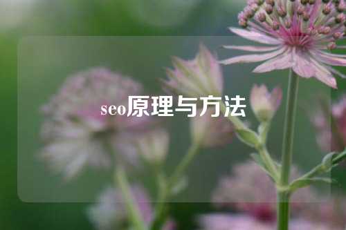 seo原理与方法