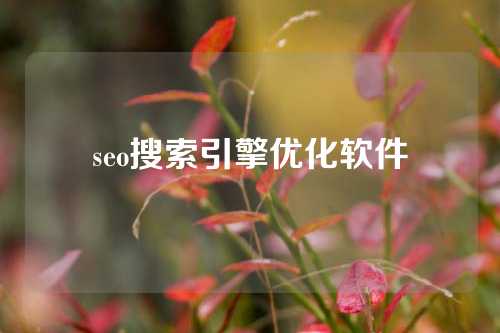 seo搜索引擎优化软件