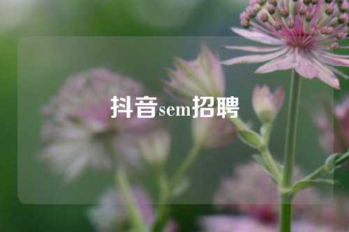 抖音sem招聘