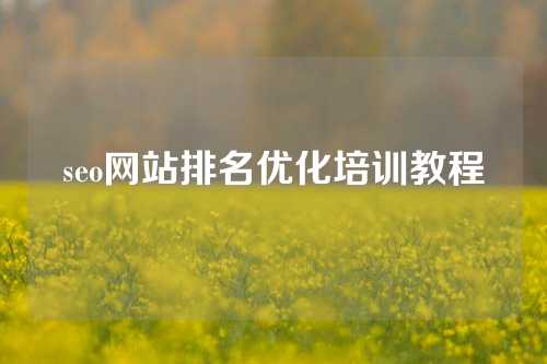 seo网站排名优化培训教程