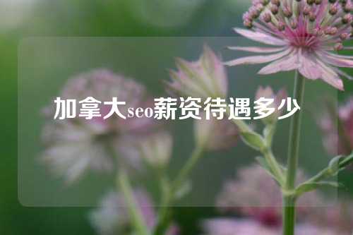 加拿大seo薪资待遇多少