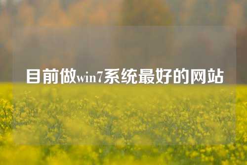 目前做win7系统最好的网站