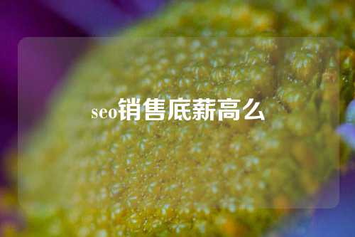 seo销售底薪高么