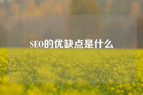 SEO的优缺点是什么