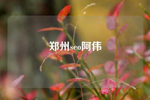 郑州seo阿伟