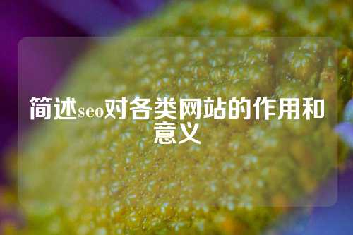 简述seo对各类网站的作用和意义