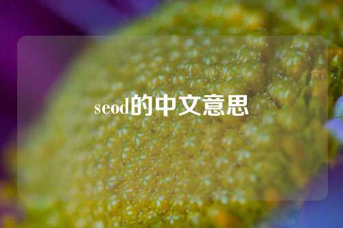 seod的中文意思