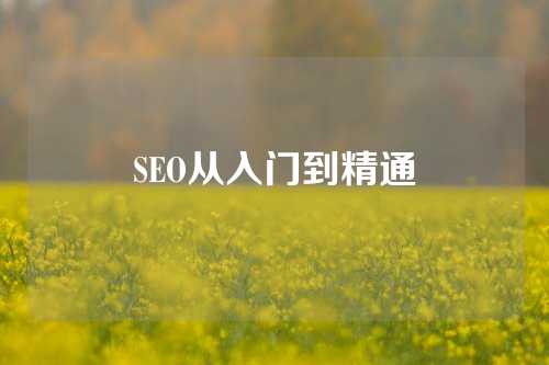 SEO从入门到精通