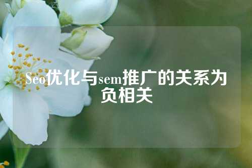 Seo优化与sem推广的关系为负相关