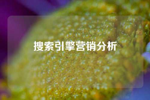 搜索引擎营销分析